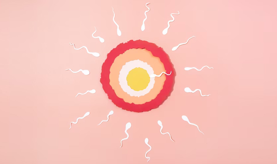 Male and Female Infertility Evaluation at Miracle IVF Hospital, Bangalore.